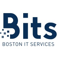 Boston IT Services Inc logo