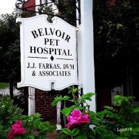Belvoir Pet Hospital logo