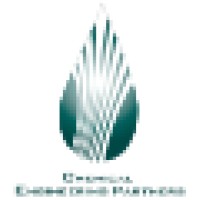 Chemical Engineering Partners logo