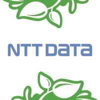 NTT DATA Services logo