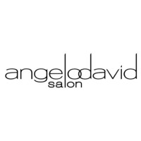 Angelo David Salon logo