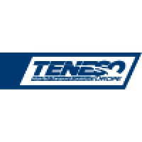 MITSAFETRANS & TENESO Europe SE logo