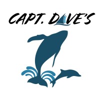Captain Dave's Dolphin And Whale Watching Safari logo