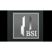 Business Solutions International, Inc. logo