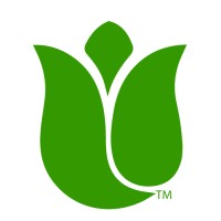 Distinctive Designs International, Inc. logo
