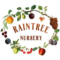 Raintree Nursery logo