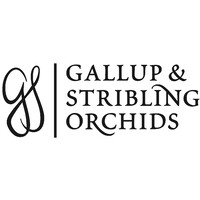 Gallup And Stribling Orchids, Inc. logo