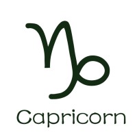 CAPRICORN (China) Consulting logo