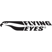 Flying Eyes logo