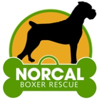 NORCAL BOXER RESCUE logo