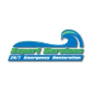 Expert Services Inc. logo