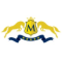 Merit Academy logo