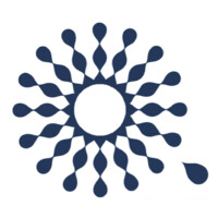 Vision Shapers Forum logo