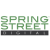 Spring Street Studios logo