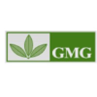 GMG Global Ltd logo