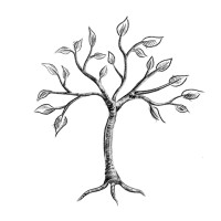 Ivory Tree Portraits logo