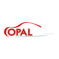 Opal Marketing And Industry LLC logo