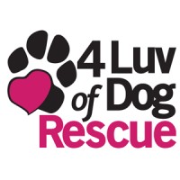 4 Luv Of Dog Rescue logo