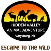 Hidden Valley Animal Adventure logo