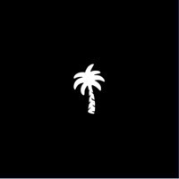 Palm Tree Crew Holdings logo