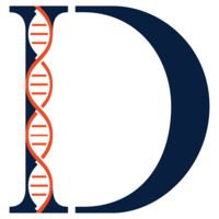 Development Insights LLC logo