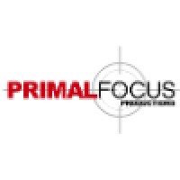 Primal Focus Productions & King Media Group logo