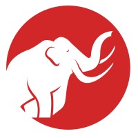 Mammoth Storage logo