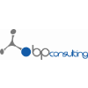 BP Consulting logo