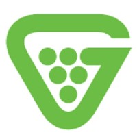 Grapevine MSP Technology Services logo