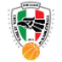 Liga Azteca De Basketball LLC. logo