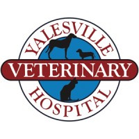 Yalesville Veterinary Hospital logo