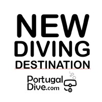 Portugal Dive logo