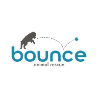 Bounce Animal Rescue logo