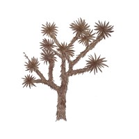 Joshua Tree Counseling logo