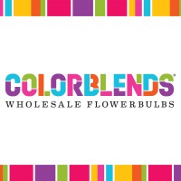 Colorblends Wholesale Flowerbulbs logo