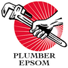 Plumber Guy logo