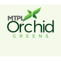 Orchid Greens logo