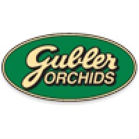 Gubler Orchids logo