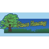 Morse Nursery logo