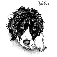 Tucker Realty LLC logo