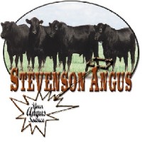 Stevenson Angus Ranch logo
