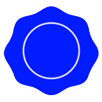 BlueNotary logo