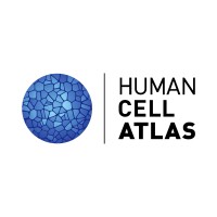 Human Cell Atlas logo