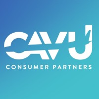CAVU Venture Partners logo