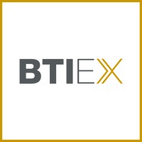 BTI Executive Search logo