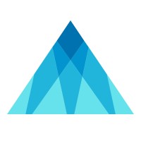 REALM IDx, Inc. logo