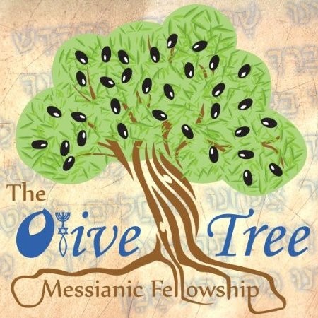 Contact Olive Fellowship
