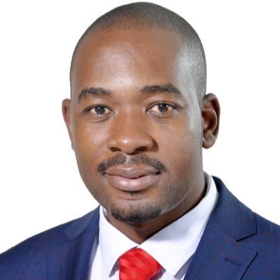 Contact Advocate Chamisa