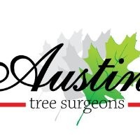 Austin Tree Surgeons