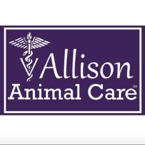 Contact Allison Witherow
